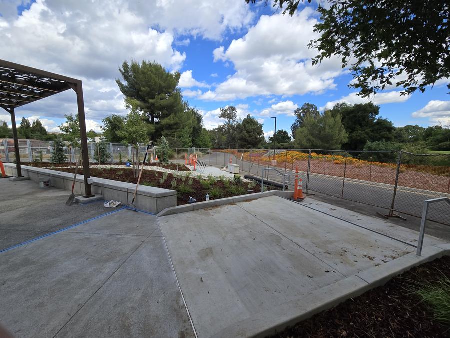 Finished site: concrete flatwork and planting