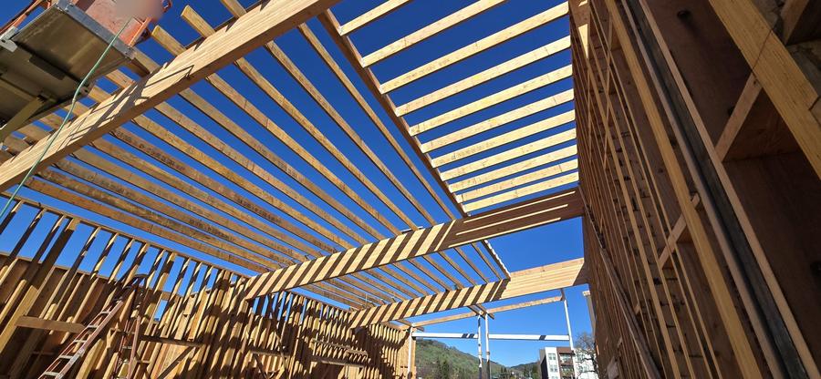 Roof framing against open sky